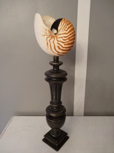 DSC02088 2500