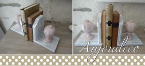 serre-livre-rose_gimp